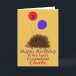 Hedgehog cartoon Birthday Grandson add name age Card<br><div class="desc">Childs birthday card,  change the name and age on front,  change the relationship if required,  and add any extra message and names inside. A cute cartoon hedgehog with a smile,  big eyes,  and holding balloons with age. For Grandson.</div>