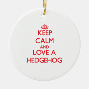 Hedgehog Ceramic Ornament