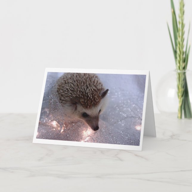 Hedgehog Christmas Card (Front)
