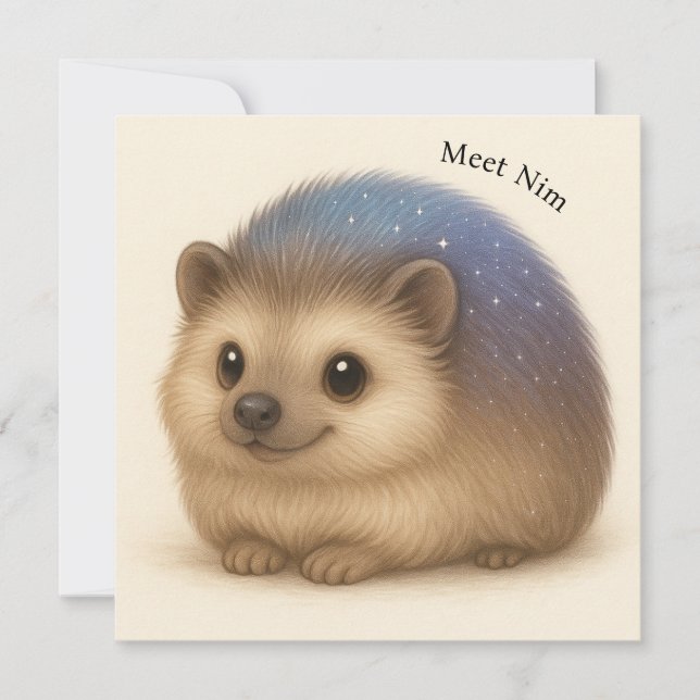 Hedgehog Comfort Greeting Card Meet Nim - Series (Front)