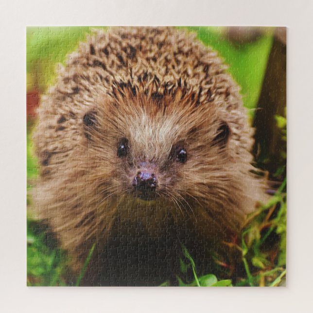 Hedgehog Curiously Exploring in Nature Jigsaw Puzzle (Vertical)