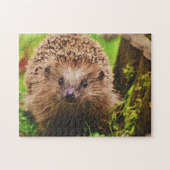 Hedgehog Curiously Exploring Jigsaw Puzzle (Horizontal)