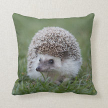 Hedgehog Cushion