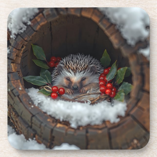 Hedgehog cute winter happiness coaster (Front)