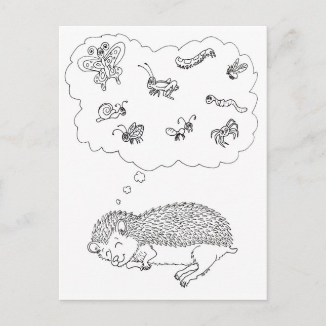 Hedgehog Dreams Postcard (Front)