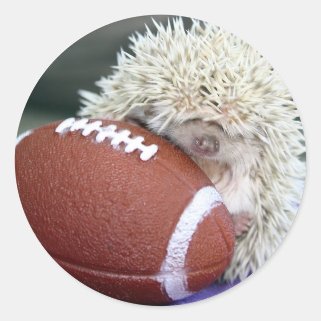 Hedgehog Football Classic Round Sticker (Front)