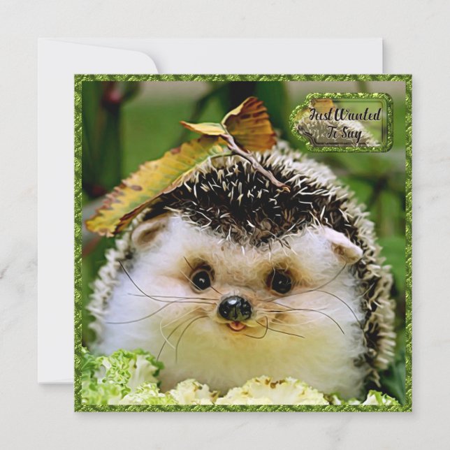 Hedgehog Friendship Card (Front)