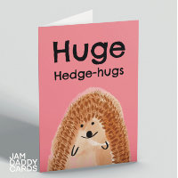 Hedgehog Get Well