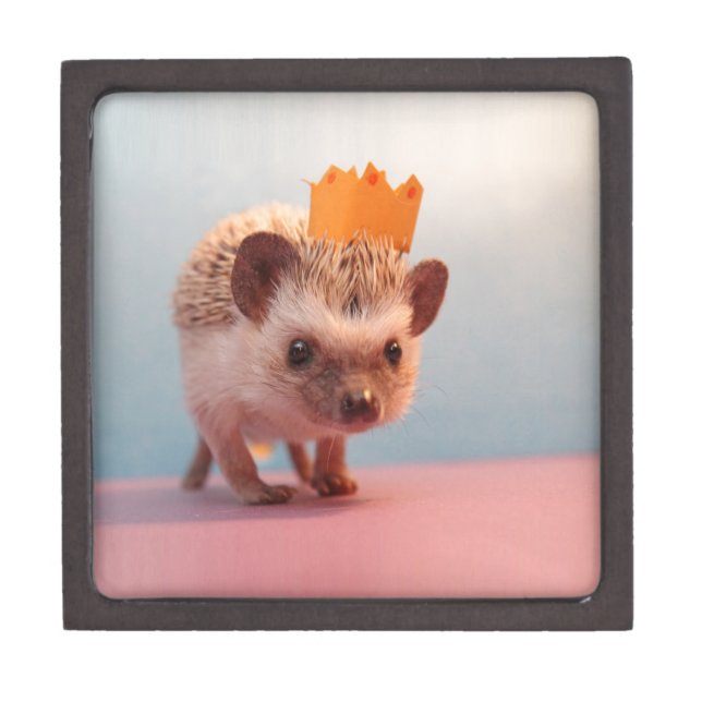 Hedgehog Happiness Jewelry Box (Front)