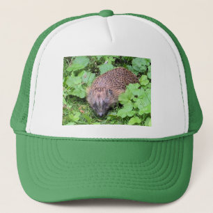 Hedgehog Hat
