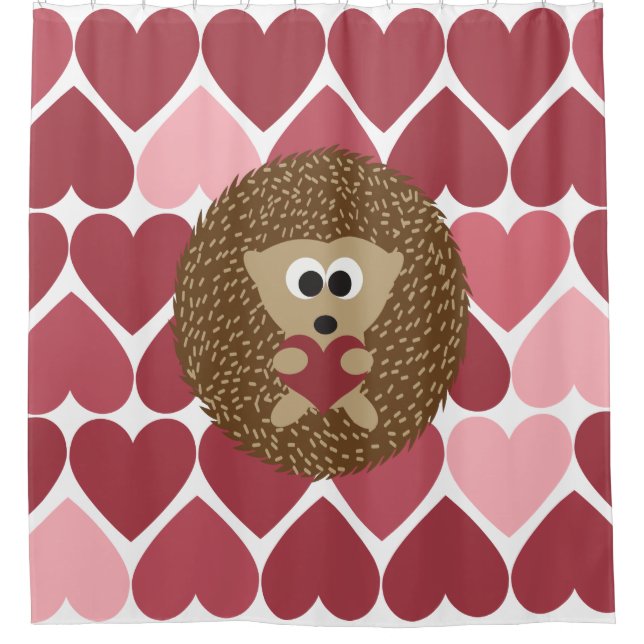 Hedgehog Hugging Heart With Heart Background (Front)