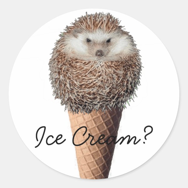 Hedgehog Ice Cream Classic Round Sticker (Front)