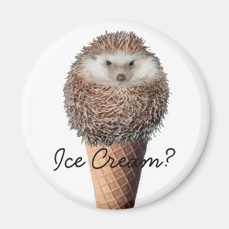 Hedgehog Ice Cream Magnet