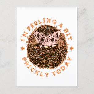 Hedgehog I'm Feeling A Bit Prickly Today Postcard