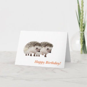 hedgehog image for Birthday greeting cards