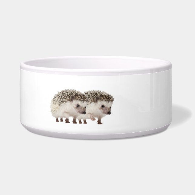 Hedgehog image for Large Pet Bowl (Front)