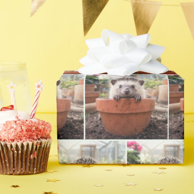 Hedgehog in a Clay Flower Pot Wrapping Paper (Birthday Party)