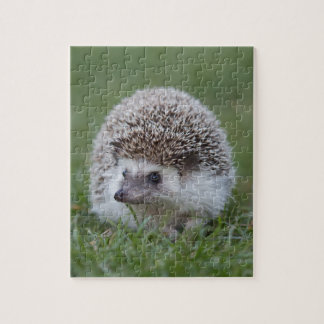 Hedgehog Jigsaw Puzzle
