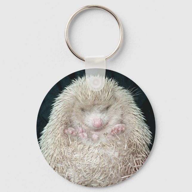 Hedgehog Keychain (Front)