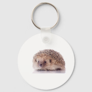 Hedgehog, Keychain