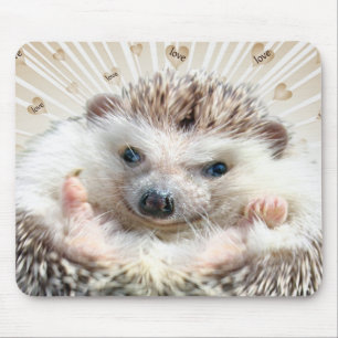 Hedgehog Love Mousepad