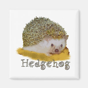 Hedgehog magnet