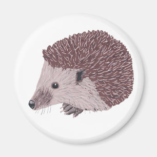 Hedgehog Magnet