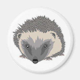 Hedgehog Magnet