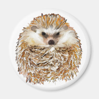Hedgehog magnet