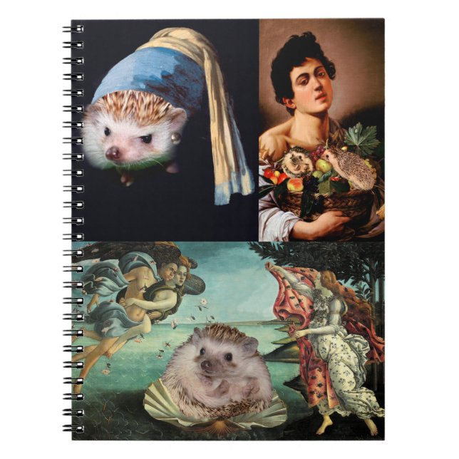 Hedgehog Masterpieces Notebook (Front)