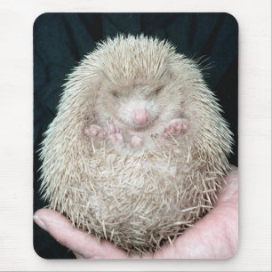 Hedgehog Mouse Pad