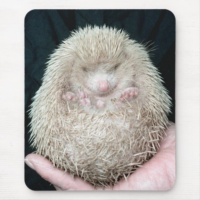 Hedgehog Mouse Pad (Front)