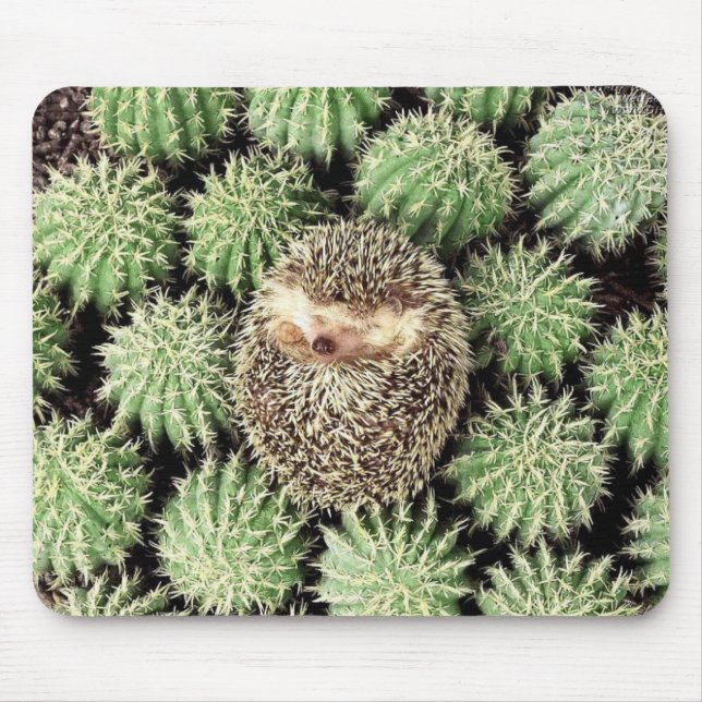Hedgehog Mousepad (Front)
