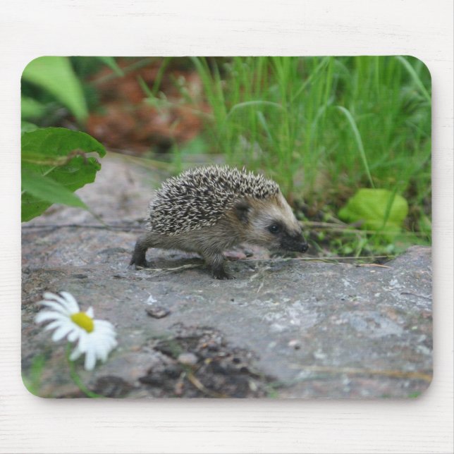 Hedgehog mousepad - customizable (Front)