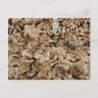 Hedgehog Mushrooms