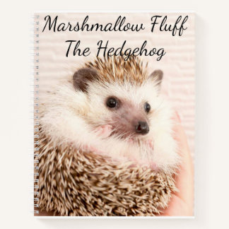 Hedgehog Notebook