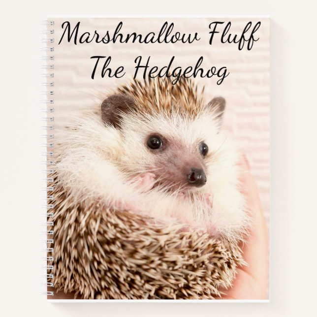 Hedgehog Notebook (Front)