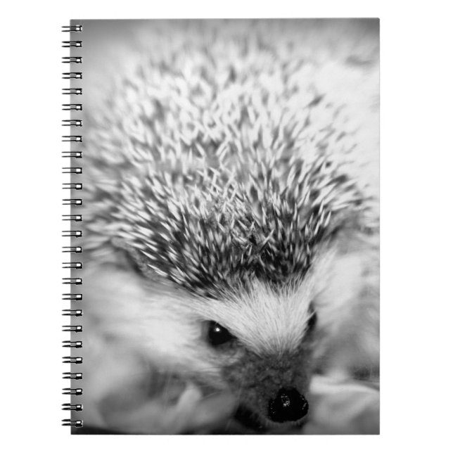 hedgehog notebook (Front)