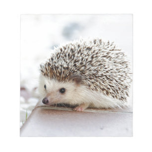 hedgehog notepad