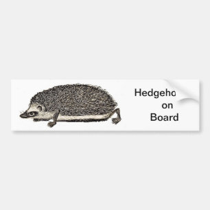 Hedgehog on Board - BUMPER STICKER