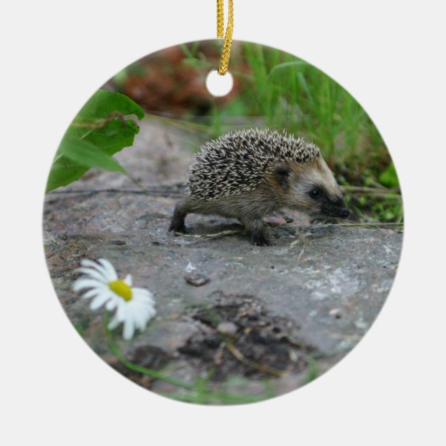 Hedgehog ornament - customizable (Front)