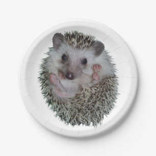 Hedgehog Paper Plate