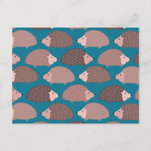 Hedgehog pattern postcard