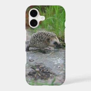 Hedgehog phone cases