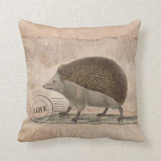 Hedgehog Pillow 20x20