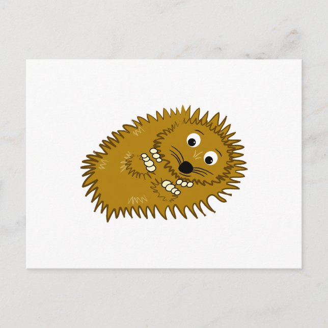 Hedgehog Postcard (Front)
