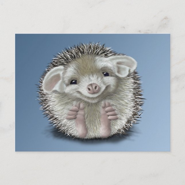 Hedgehog Postcard (Front)
