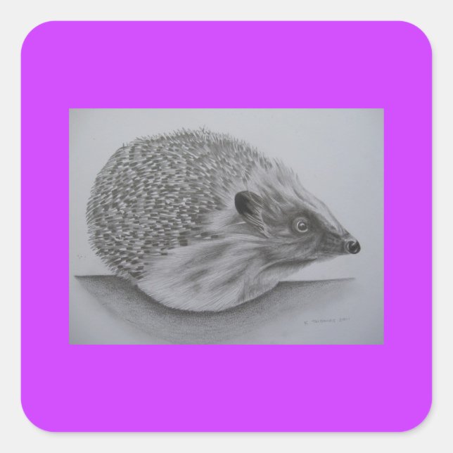 Hedgehog Products (2) Square Sticker (Front)