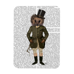 Hedgehog Rider Full Magnet