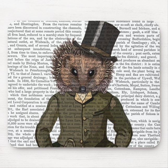 Hedgehog Rider Portrait Mouse Pad (Front)